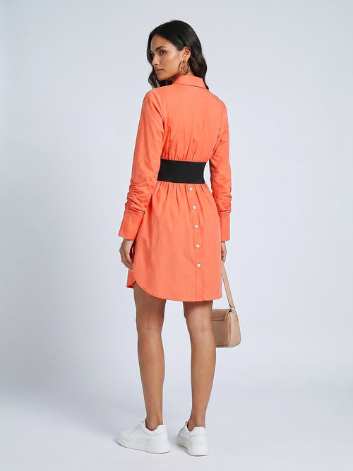 Turuncu - Farren Uzun Kol Pamuklu Diz Boyu Poplin Elbise - FRN30381 - Model on white - back/side